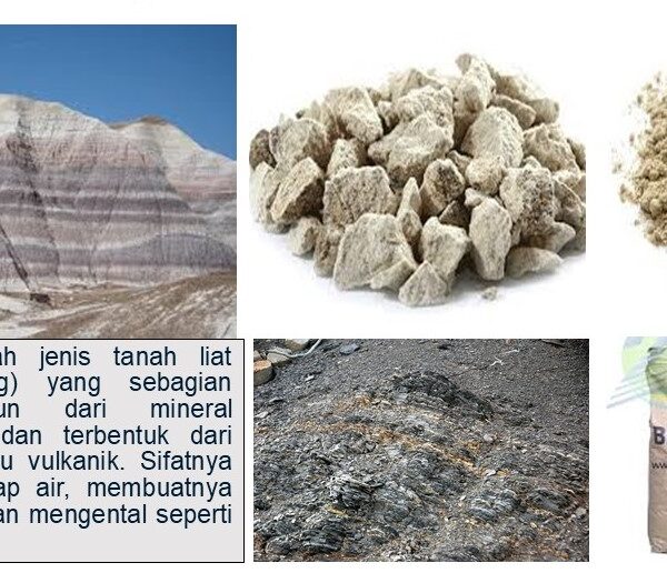 Apa Itu Bentonite?