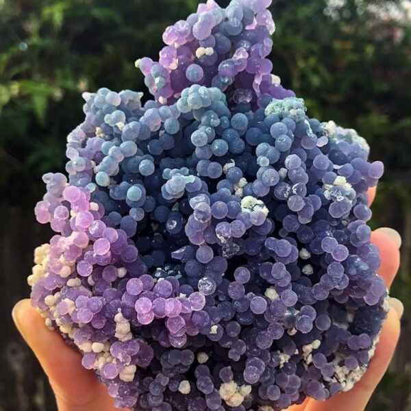 Batu Grape Agate: Batu Khas Sulawesi dengan Formasi Kristal Unik Menyerupai Anggur