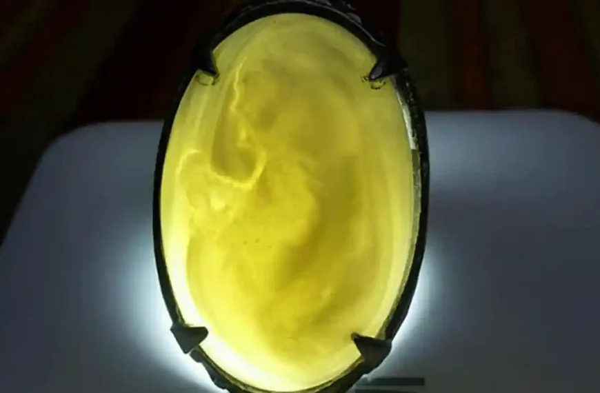 Batu Akik Tanggamus: Batu Akik Khas Lampung dengan Karakter Warna Alami dan Tekstur Padat