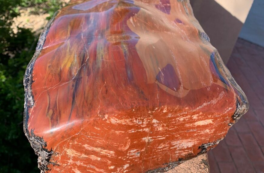 Batu Petrified Wood: Kayu Membatu Indonesia dengan Pola Alami Fosil Kayu