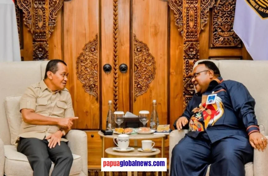 Atasi Penambangan Tanpa Izin, Papua Tengah Tunggu SK Menteri ESDM Penetapan WPR