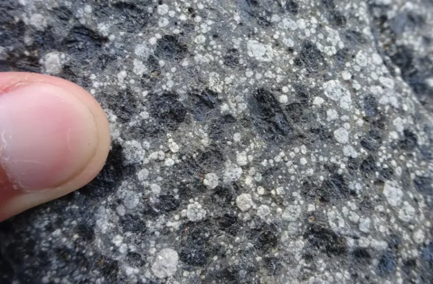 Leusit, Batuan Vulkanik Langka dengan Nilai Geologi Penting