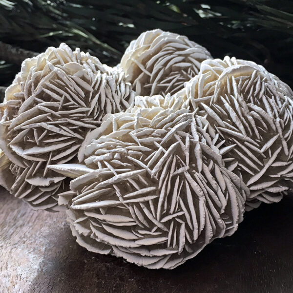 Desert Rose, Formasi Mineral Alami Berbentuk Bunga dari Lingkungan Gurun