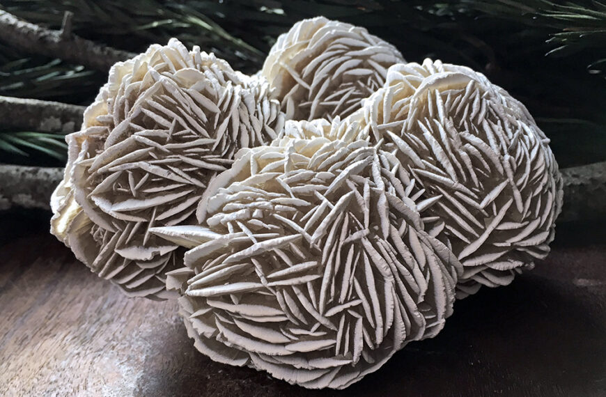 Desert Rose, Formasi Mineral Alami Berbentuk Bunga dari Lingkungan Gurun