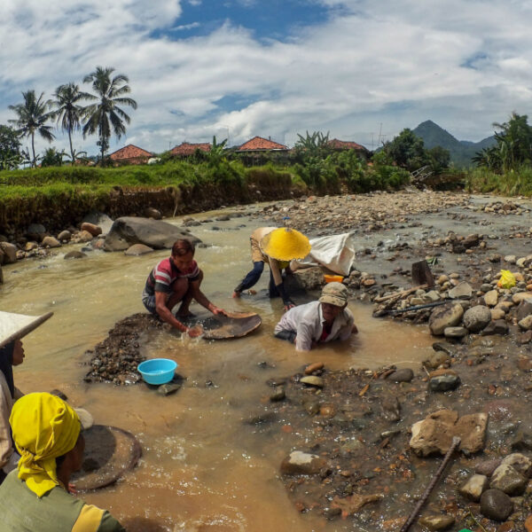 Mengapa Ada Sungai yang Kaya Emas, Sementara Sungai Lain Tidak? Memahami Terbentuknya Endapan Emas Aluvial