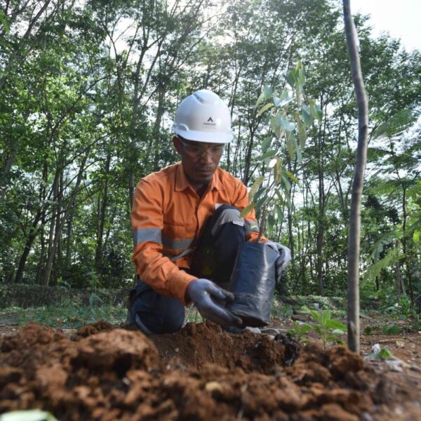 Bagaimana Kelompok Penambang Membagi Tanggung Jawab dalam Pengelolaan Lingkungan?