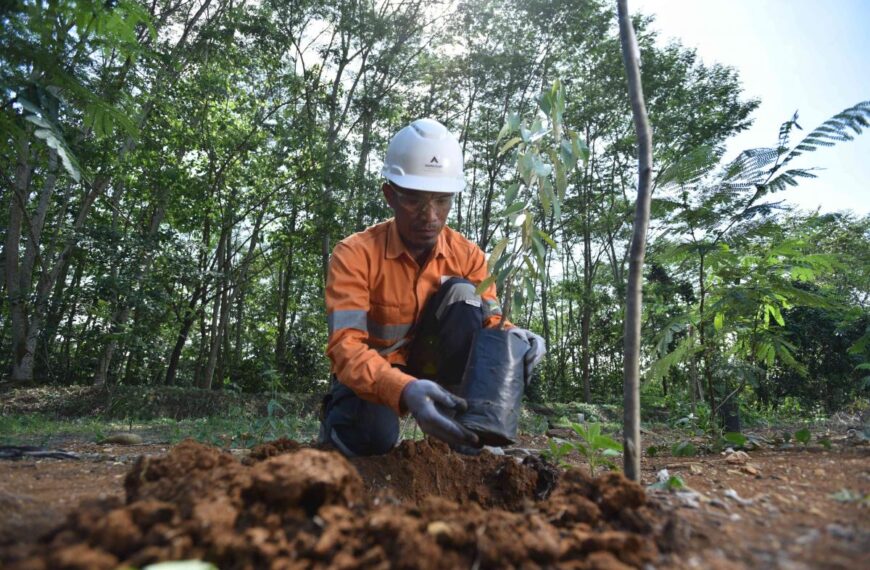Bagaimana Kelompok Penambang Membagi Tanggung Jawab dalam Pengelolaan Lingkungan?