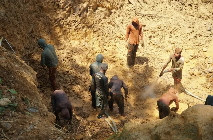 Kenapa Penambang Rakyat Perlu Menjaga Kebersihan Area Kerja di Lokasi Tambang?